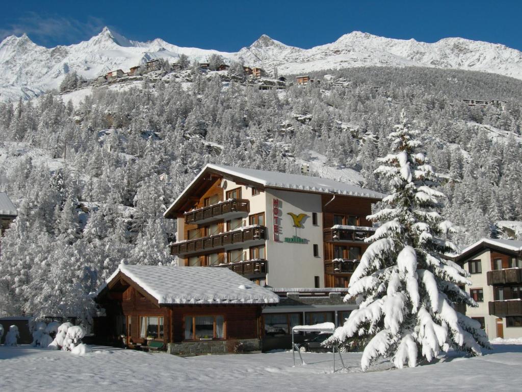 Hotel Adler 사스그룬트 객실 사진